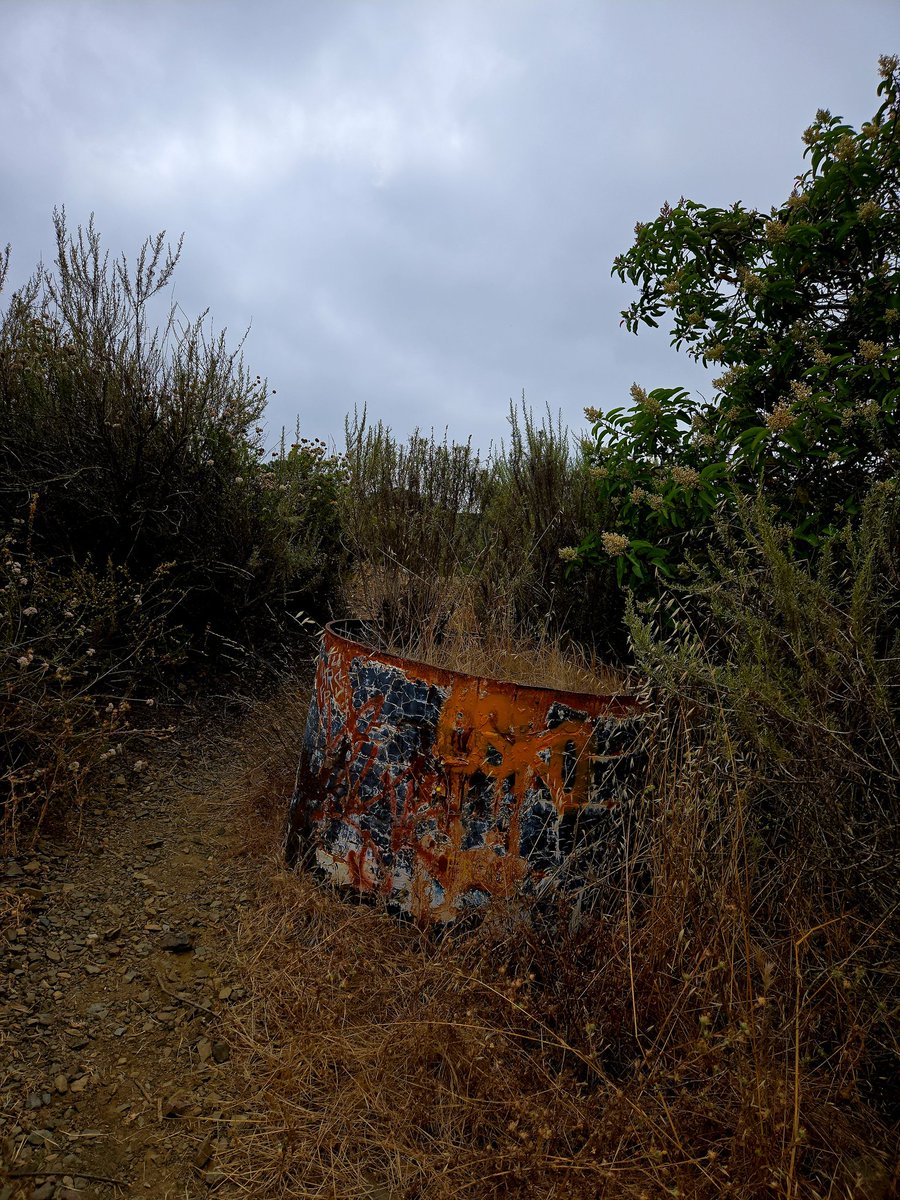 rottenrotny's tweet photo. I have a semi-secret park that I like to go on long walks in. Maybe sometime will recognize it. https://t.co/fjIIHw1s3H