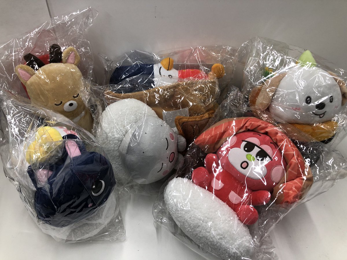 RIIZE RIIZE らいずし🍣 ぬいぐるみが揃って入荷‼️ コーナー上部に