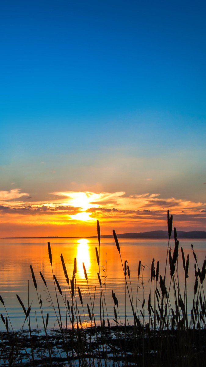 Earth Pictures tweet media
