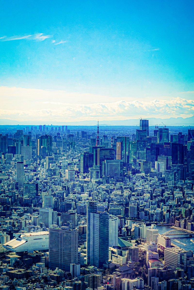 miki000suzu's tweet photo. 東京
#写真好きな人と繋がりたい
#過去pic https://t.co/PfGMmB4b4R