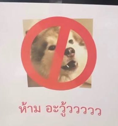เจน 🐈‍⬛ tweet media