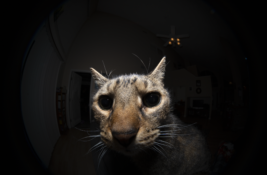VaraSalvator's tweet photo. Experimenting with a new fisheye lens and lol lmao https://t.co/CsQsrmufpd