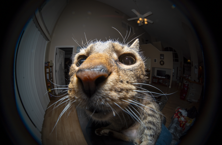 VaraSalvator's tweet photo. Experimenting with a new fisheye lens and lol lmao https://t.co/CsQsrmufpd