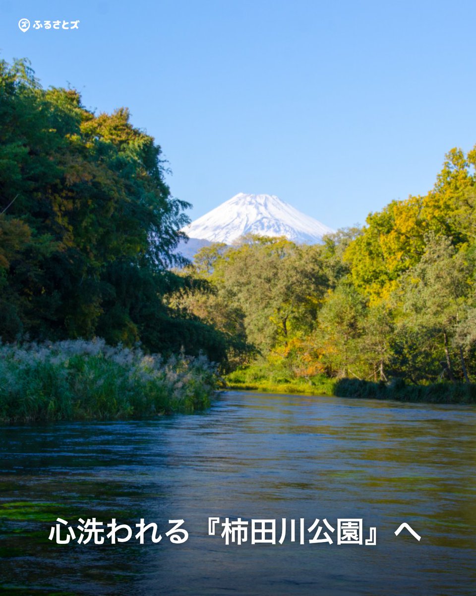 furusatoscom's tweet photo. 柿田川公園
https://t.co/wd9BkQEuSi https://t.co/igOpDL5FAY