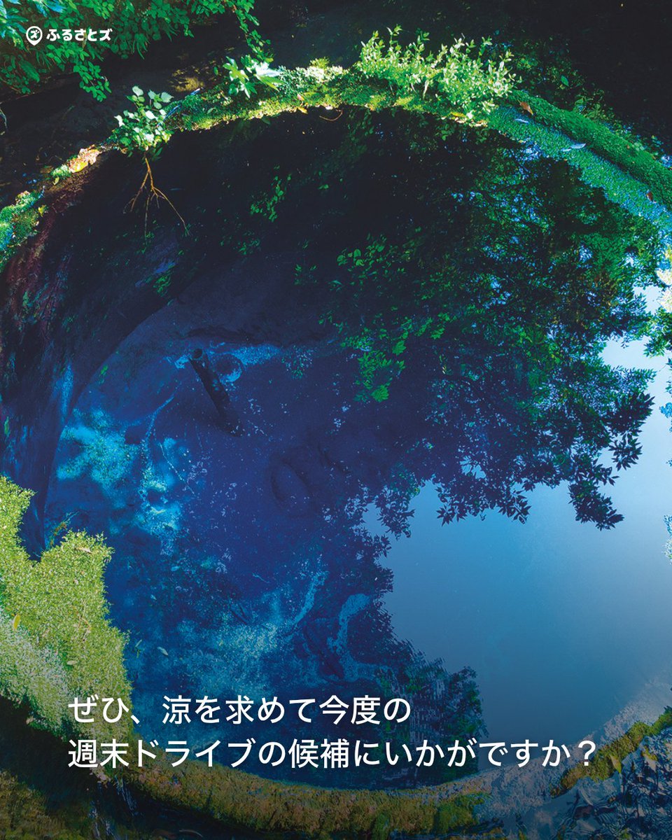 furusatoscom's tweet photo. 柿田川公園
https://t.co/wd9BkQEuSi https://t.co/igOpDL5FAY
