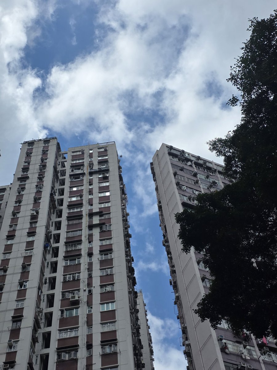 glen_object's tweet photo. 오늘도 좋은 날씨 홍콩 https://t.co/vygeDF8Pa7
