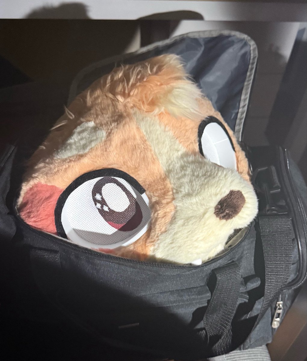 kajithecorgi's tweet photo. got any games on your phone?

#Fursuit https://t.co/FKd3tdZEOp