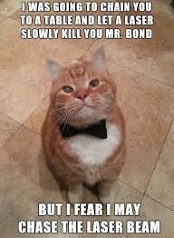 meow2you's tweet photo. As a fan of the Sean Connery James Bond movies, I'm pretty sure this is a scene that got deleted from the Goldfinger movie. 😹🤔😹🤔
#GeekPrideDay
@ThePhilosopurr @GeneralCattis @HarryCatPurrs @LuminousNumino1 @TERRYW_UK @MewllerRobert @briano29 @eliznoelle @EringoB02429272 https://t.co/5YfSBXr1qc