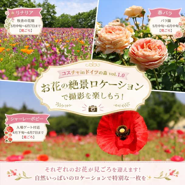 coscha2015's tweet photo. 【コスチャinドイツの森vol.1.0のお知らせ】
自然いっぱいのロケーションで楽しめる
コスプレイベント開催✨
花畑、石畳、ヨーロッパ風の街並み、
動物たちとの撮影も楽しめます🐑🐇

作品の世界に入り込める
特別な1日をドイツの森で！
初心者さん・交流メイン参加も大歓迎！

#コスチャinドイツの森 https://t.co/aX7yeW4nPs