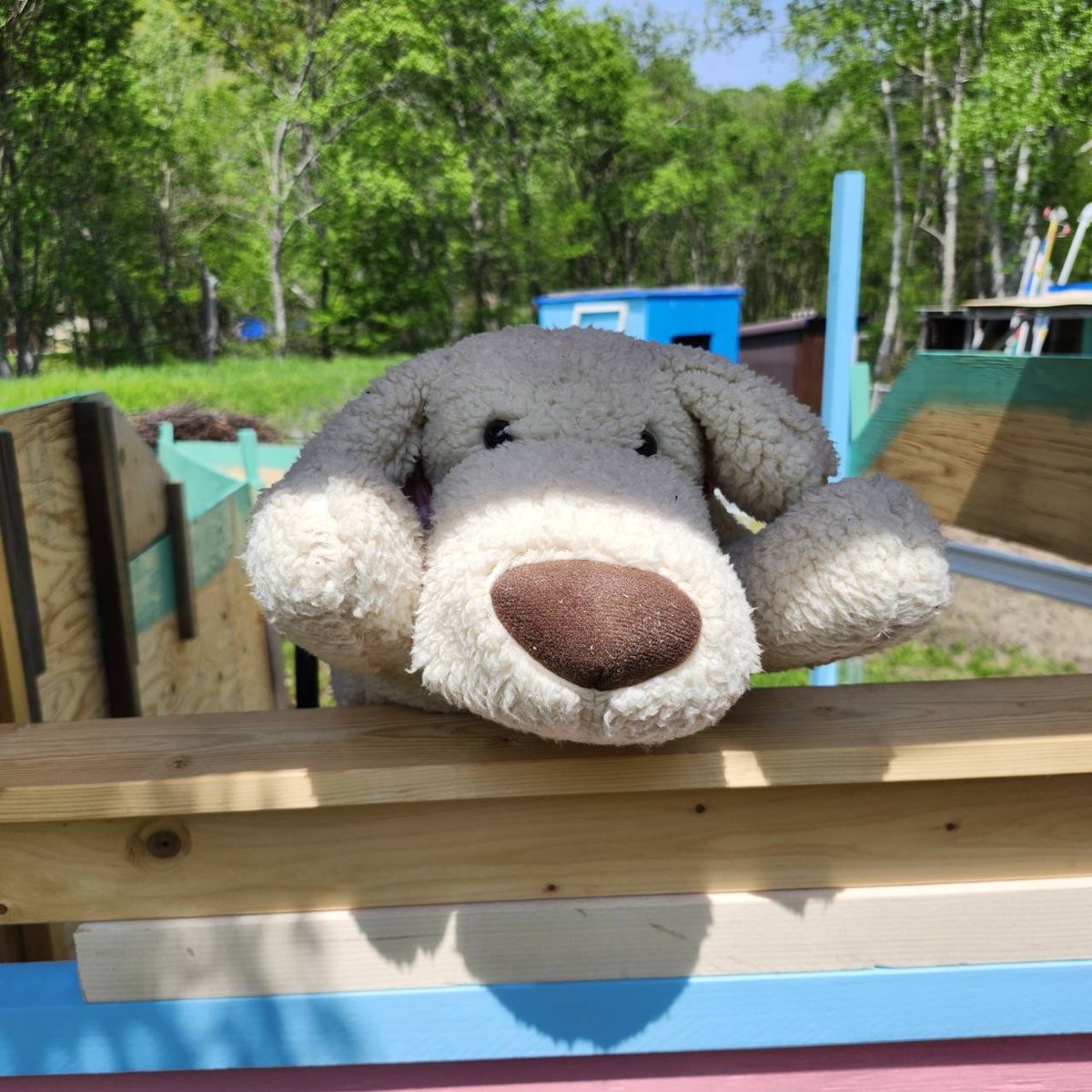 ImoyaKen's tweet photo. 今日はわたあめ売り切れの為お休みでした((*_ _)

 #動物
 #PayPay
 #北海道札幌市清田区
 #名前募集 https://t.co/YtcCz2joaF