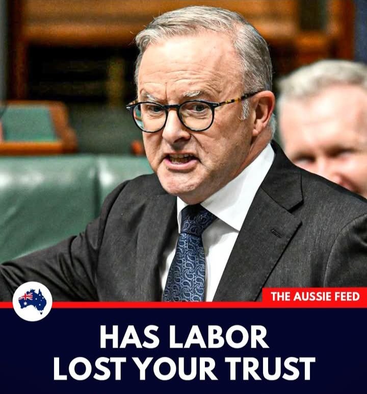 Australian Patriot. tweet media