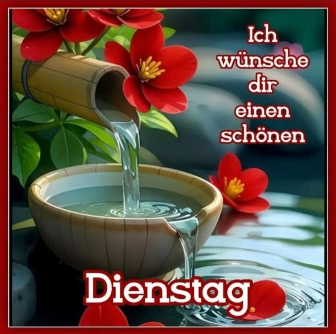 Coco Schatz tweet media