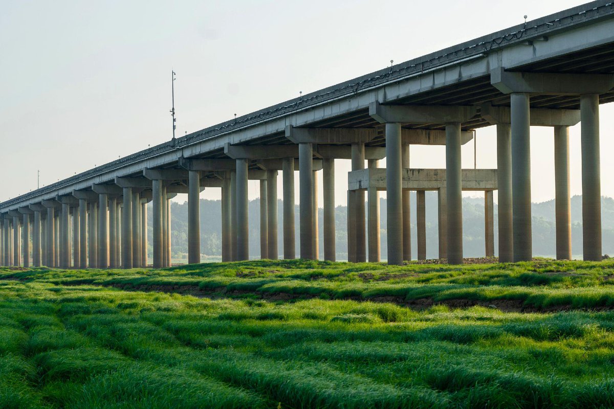 Poetic Jiujiang tweet media