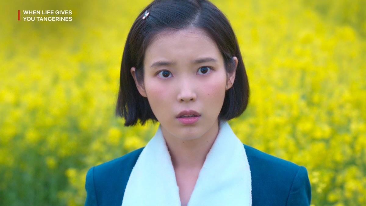 Netflix_PH's tweet photo. i know a man called yang gwan-sik who has a phd in this 

#WhenLifeGivesYouTangerines #폭싹속았수다 #IU #아이유 #ParkBogum #박보검 https://t.co/nurjrP9Hqs
