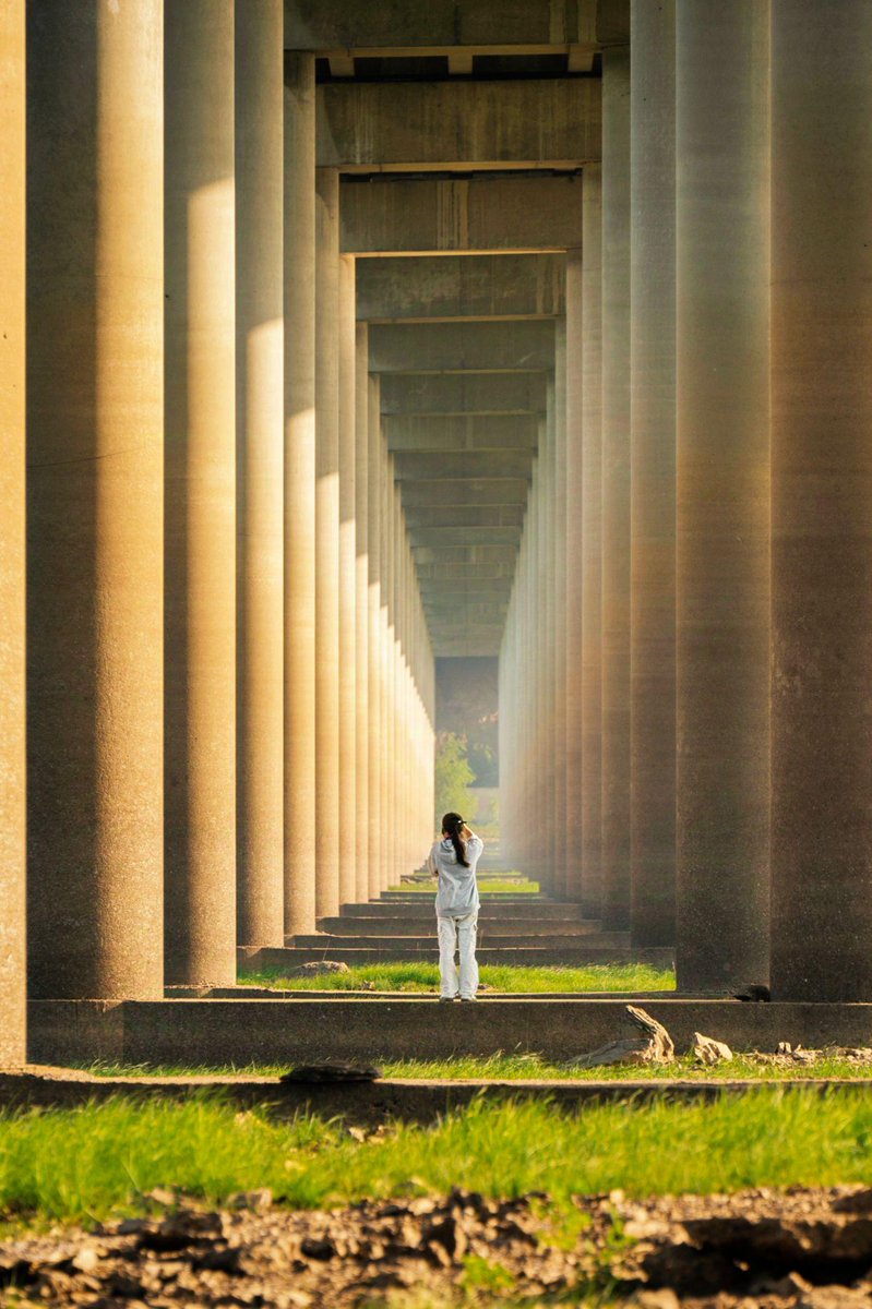Poetic Jiujiang tweet media