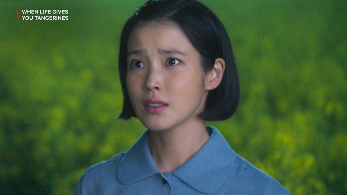 Netflix_PH's tweet photo. i know a man called yang gwan-sik who has a phd in this 

#WhenLifeGivesYouTangerines #폭싹속았수다 #IU #아이유 #ParkBogum #박보검 https://t.co/nurjrP9Hqs