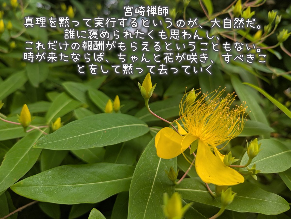 kerottocafe's tweet photo. 🪇次回のケロッとカフェ
🌳6/20㈯13:30〜15:00 zoom＆会場
会場:磯子ケアプラザ
申込➡️kerottocafe@gmail.com

🌻8/29㈯　13:00〜16:30
参加申込➡️
https://t.co/93I6yrtYQr
【映画上映】
『Dr.カキゾエ歩く処方箋~みちのく潮風トレイルを往く〜』https://t.co/fl3QqNpj06 https://t.co/X6IBtzEIvN