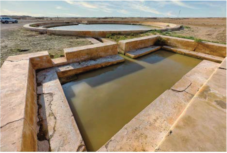 Desert Publisher tweet media