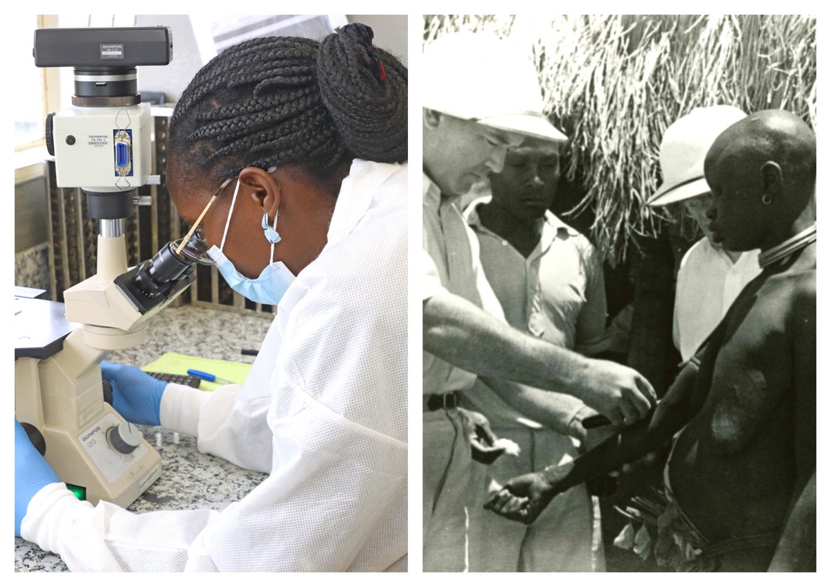 UVRIug's tweet photo. Our History: In 1936 @UVRIug started it's journey as the Yellow Fever Research Institute with supported from The @BritishColonies Office in London agrees with the @RockefellerFdn representatives to set up an institution in Uganda.

#UVRIAt90 
#UVRI 
#ScienceInAction https://t.co/VXOKfUOAg2