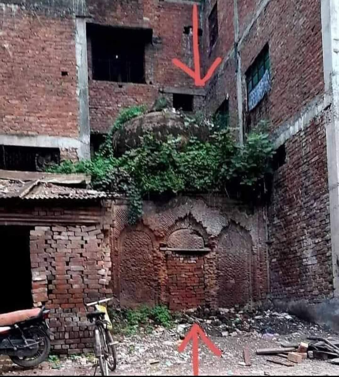 अर्चना त्यागी--भारतीय किसान संघ 🇮🇳🇮🇳 tweet media