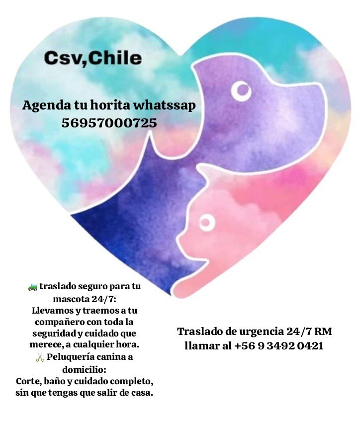 🐾🐾Callejeros, sin voz❤🐾🐾 chile🇨🇱 tweet media