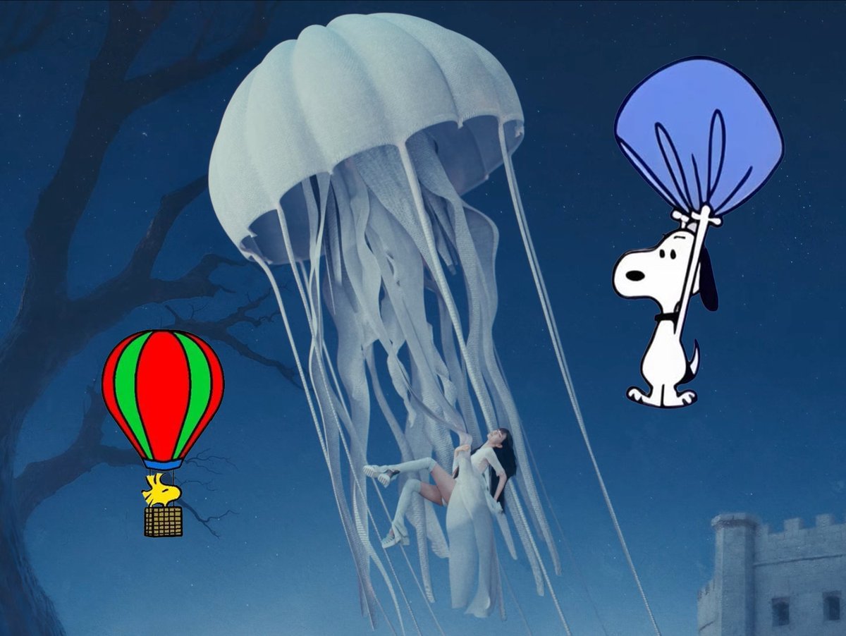 itzsnoopy ੯‧̀͡⬮ tweet media