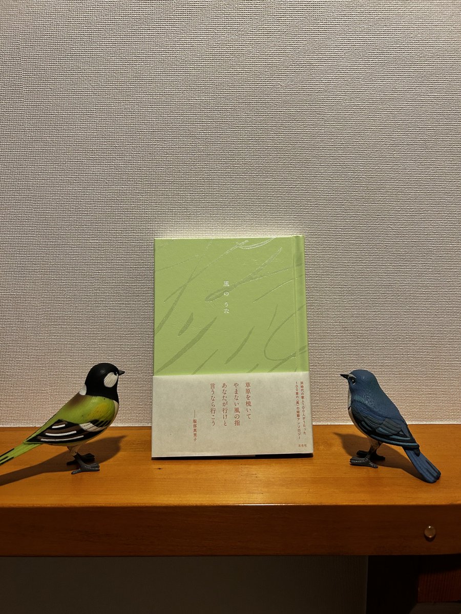 尾崎まゆみ tweet media