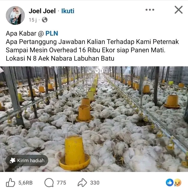 𝙍𝘾𝙋 tweet media