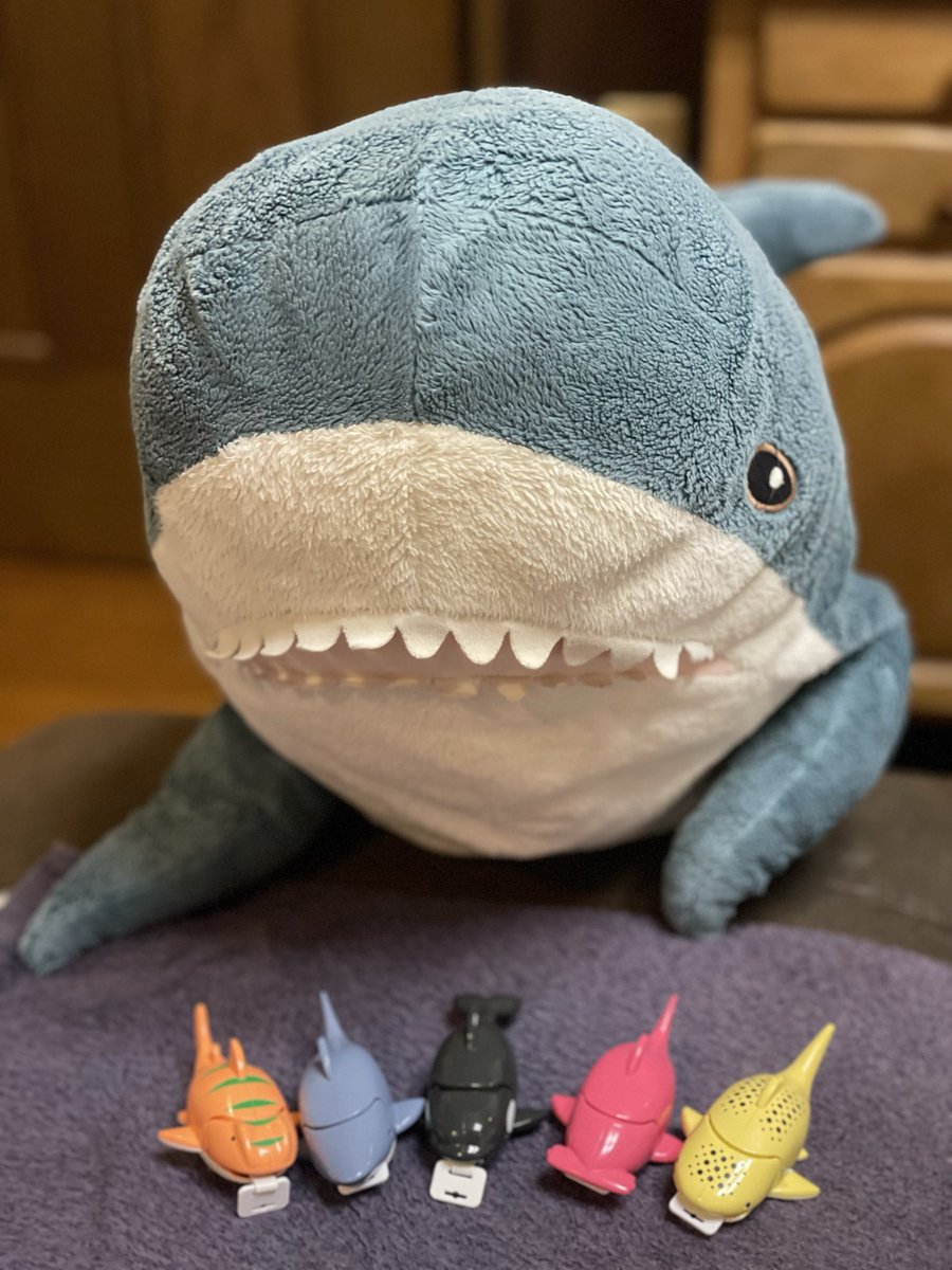 same_nichijou's tweet photo. カプセルトイの“サメジャー”を
コンプリート！やったぁ！
かわよすぎて大喜び🩷 https://t.co/b3rz54paZa