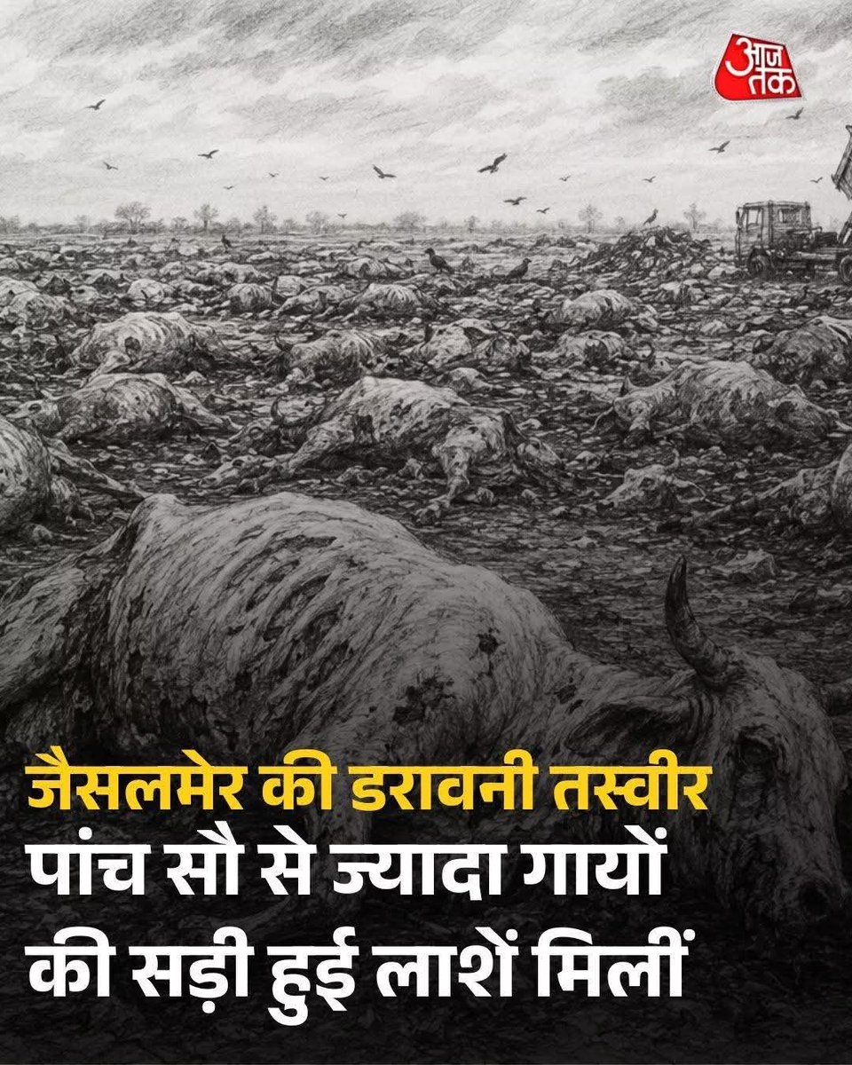 Marwadrj's tweet photo. गौ बाहुल्य जैसलमेर में जब ओरण, गोचर, तालाब कम्पनियां खाएगी तो गाय को तो मरना ही पड़ेगा .......
#ओरण_बचाओ_आंदोलन #टीम_ओरण https://t.co/6kj7EzfDkT