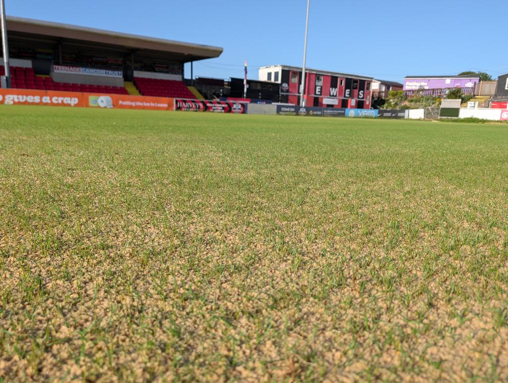 SimonRudkins's tweet photo. Following renovations by @ianajordan we have new grass for the forthcoming season 6 days after seeding. @LewesFCMen @LewesFCWomen https://t.co/evDg1pc3H1