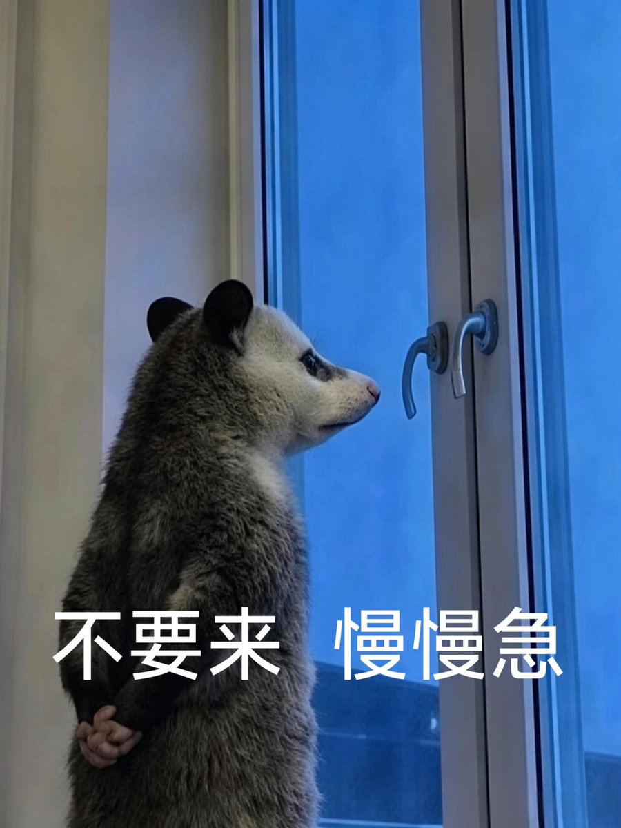 正 常 人 类 tweet media