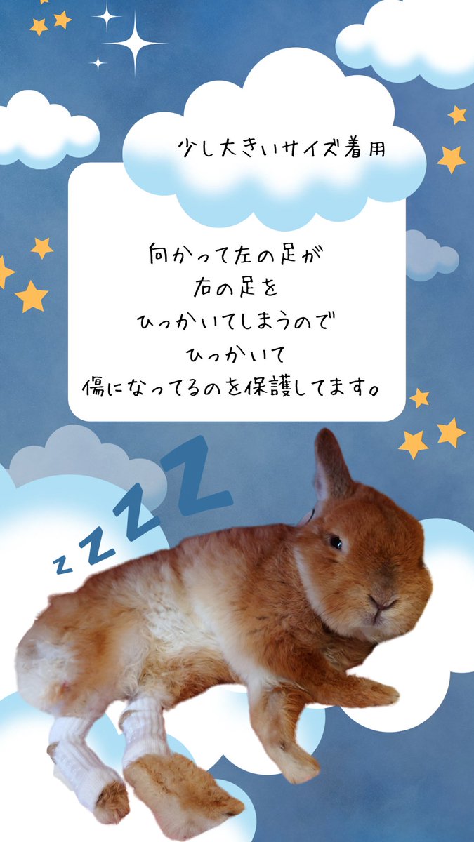102ay12's tweet photo. 販売当初旧タイプから大切に使っていただいているリピーター様です。
うさぎによって、年齢や環境によって使い方も変わってくるのでご相談いただく機会があります。ママさんやうさぎさんに寄り添って提案させていただきたいです。困ったことがあれば教えてください。一緒に考えたいです。 https://t.co/mO42QcQg0n