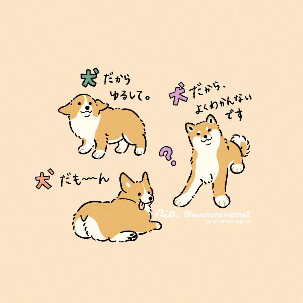 Rio🐶その2 tweet media