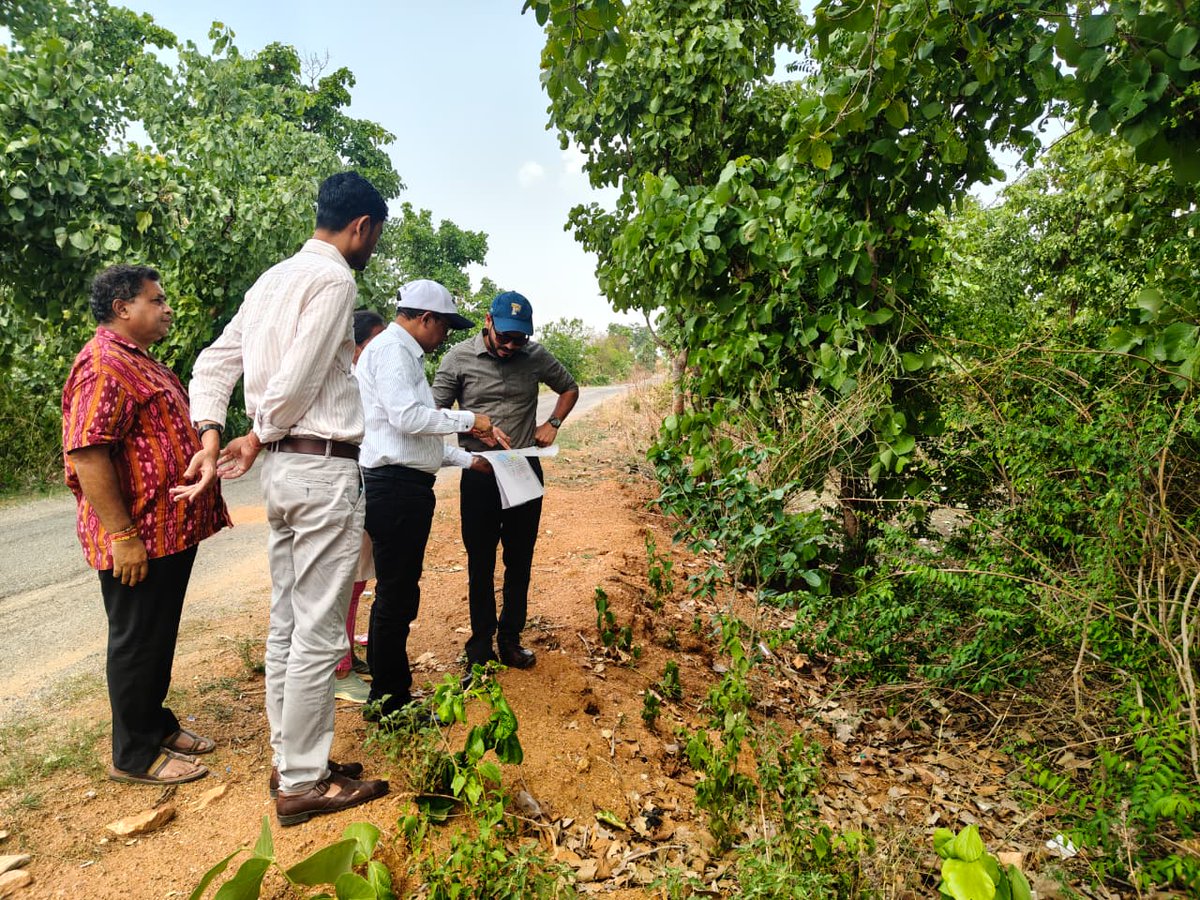 Collector & DM, Balangir tweet media