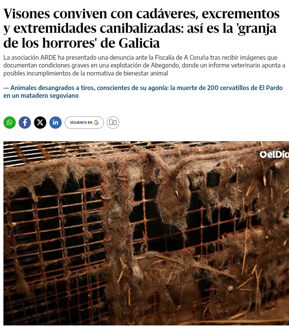 Rubén Pérez tweet media