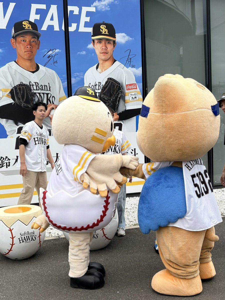 Hanemaru_Koi's tweet photo. Birthday boy はね丸✨️
HAWKSベースボールパーク筑後へやってきたよぉ⚾️
ひな丸ちゃんとカビーちゃんに、はね丸スペシャルバースデークッキーを渡したよ♪
あとで一緒に食べよっ🎂

今度の登場は17時前頃かな？
このまま雨降らないでー☔️🍀*゜

 #筑後市  #はね丸  #福岡ソフトバンクホークス https://t.co/JsDFFt8mnG