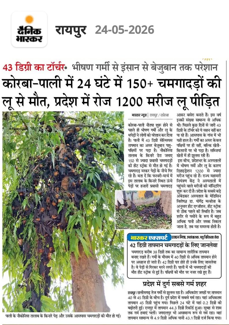 Harsh Panday tweet media
