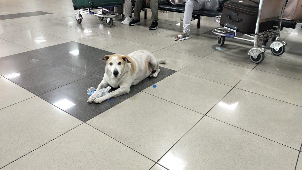 リン🇮🇳 tweet media