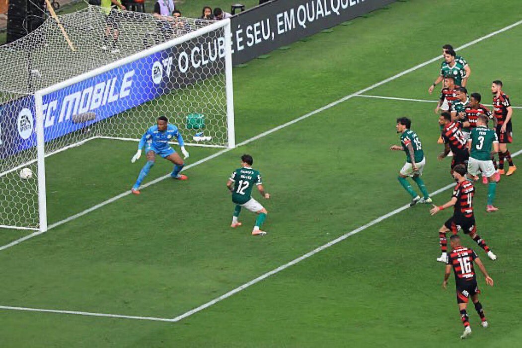 occultgize's tweet photo. @Gomez_Cambista_ Parece até que o Paulinho subiu e trouxe um Tetra 🥶 https://t.co/5dGwps3axY