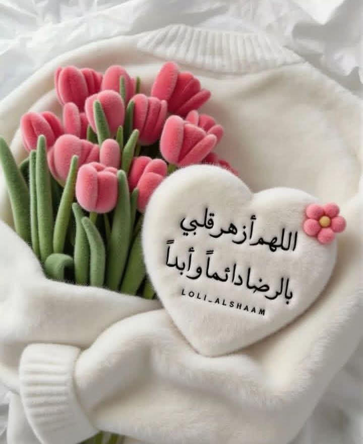 Dr.Mohamed Dawoud tweet media