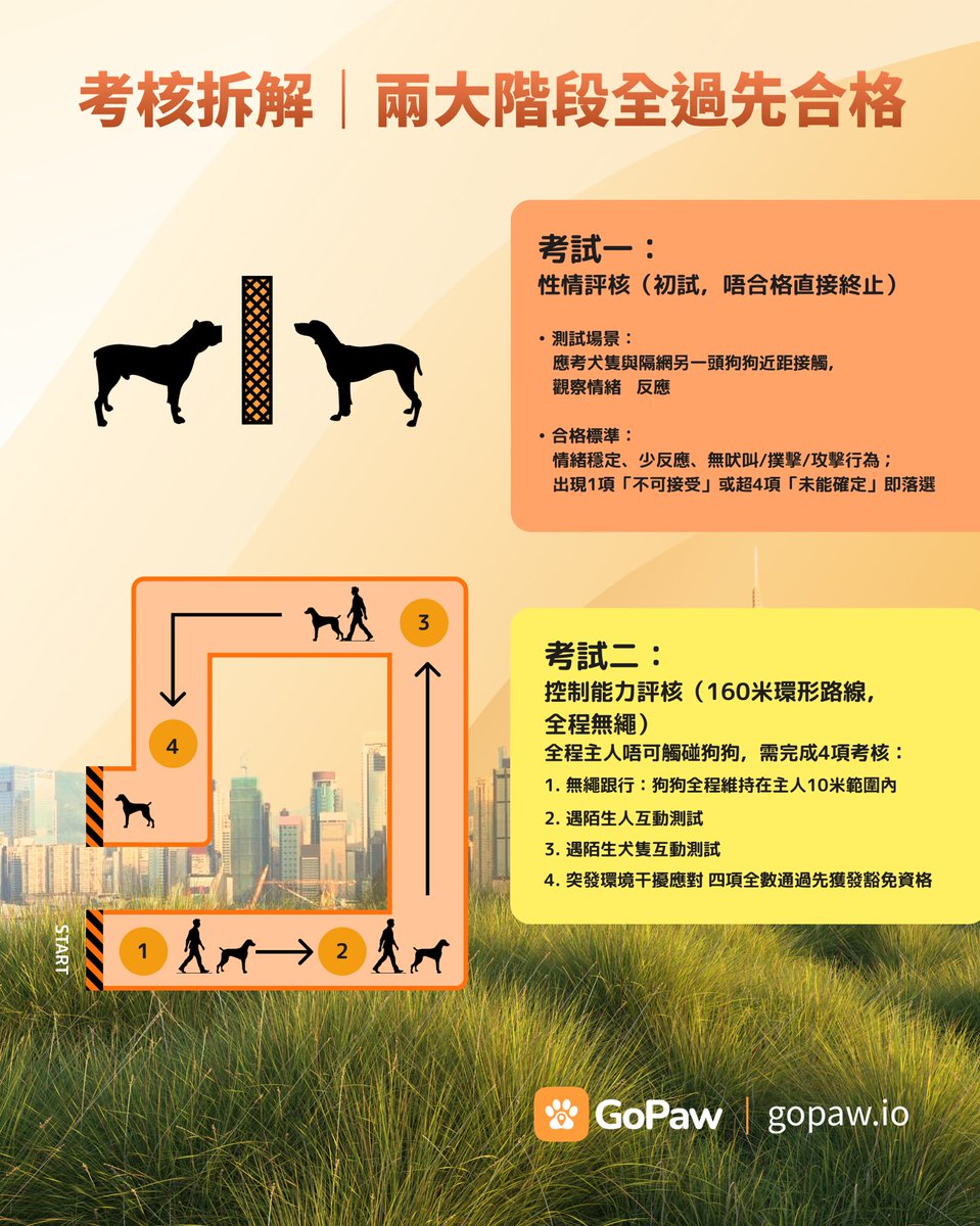 GoPawOfficial's tweet photo. Many people get it wrong, thinking only dogs over 20kg need to be leashed 😯🐾 #GoPaw

In Hong Kong, all dogs, regardless of size, must be kept on a leash and under proper control in public areas.

Rules are stricter for dogs weighing 20kg and above. AFCD runs the Large Dog Exemption Assessment annually. Well-trained dogs passing both evaluation stages are permitted to be off-leash legally in public.

We’ve compiled all eligibility rules, exam details and application steps for your reference.

Want to learn more about the off-leash permit? Comment "Large Dog" and we will DM you with extra information ✨

Important reminder: An off-leash permit does not mean no responsibility. Always keep an eye on your dog and clean up after them.