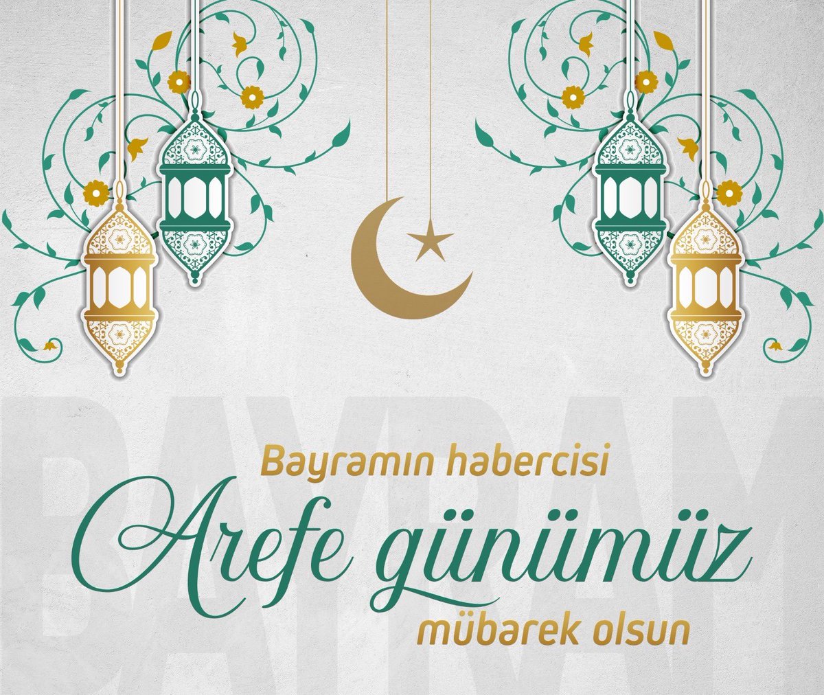 Yeşil Aytulum🇹🇷 tweet media