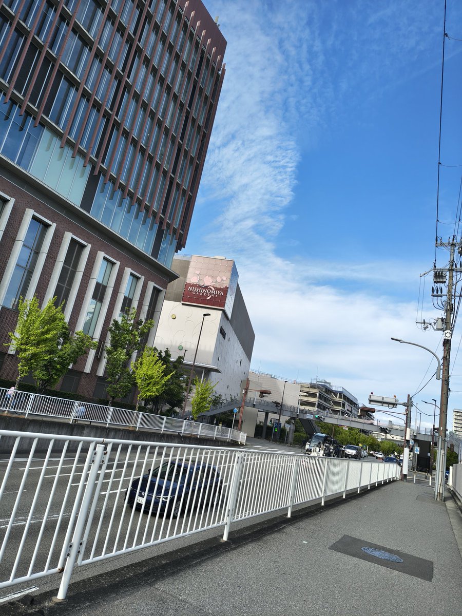 サイレース 水にとかしたヤツ tweet media