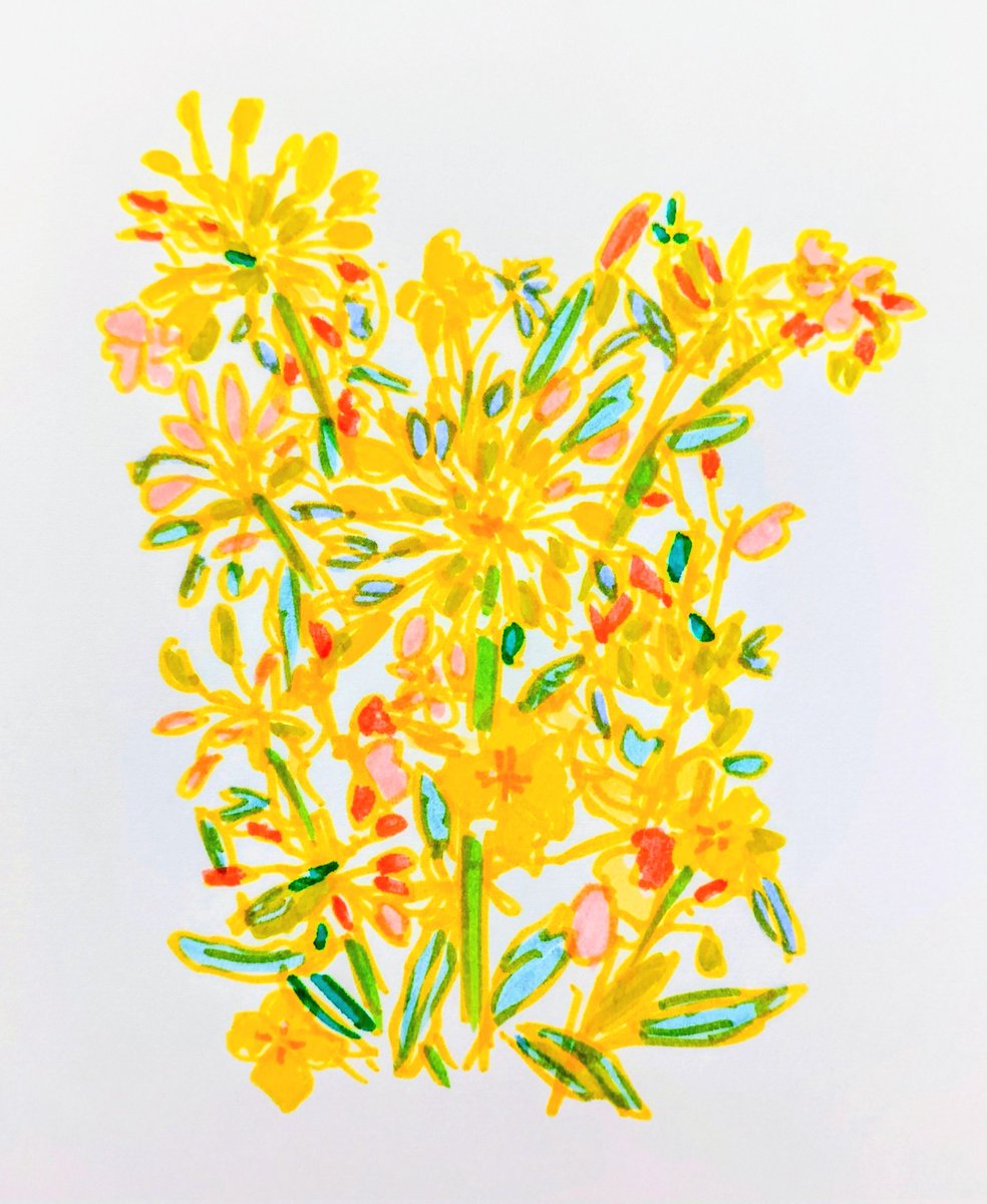 sara♡ページ 🌻🌿（60🖊️）