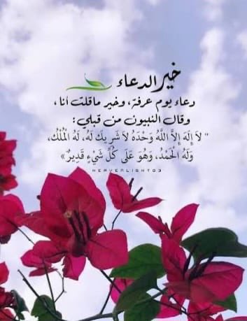 بنت الكويت💙🇰🇼🌼 tweet media