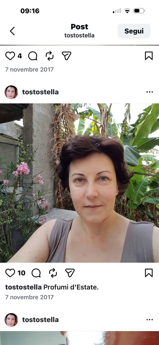 STELLA TOSTO tweet media