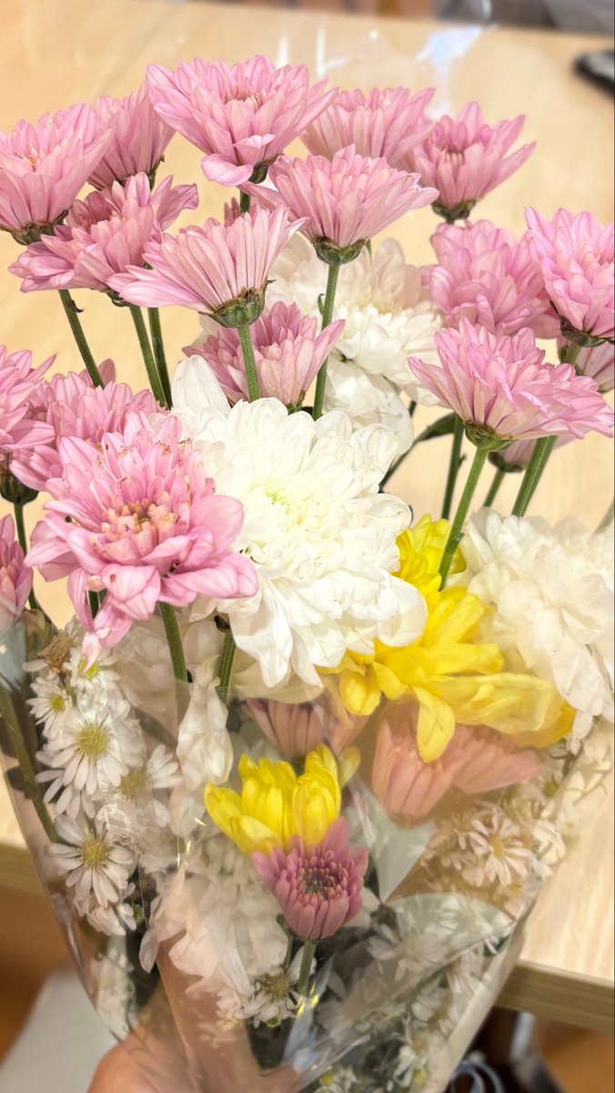 AlphaZaraaa's tweet photo. Maaf sudah jadi beban dan alasan ketidakbahagiaanmu belakangan ini. I hope you find joy and happiness you deserve. See you in another life. https://t.co/9beaRurl6h