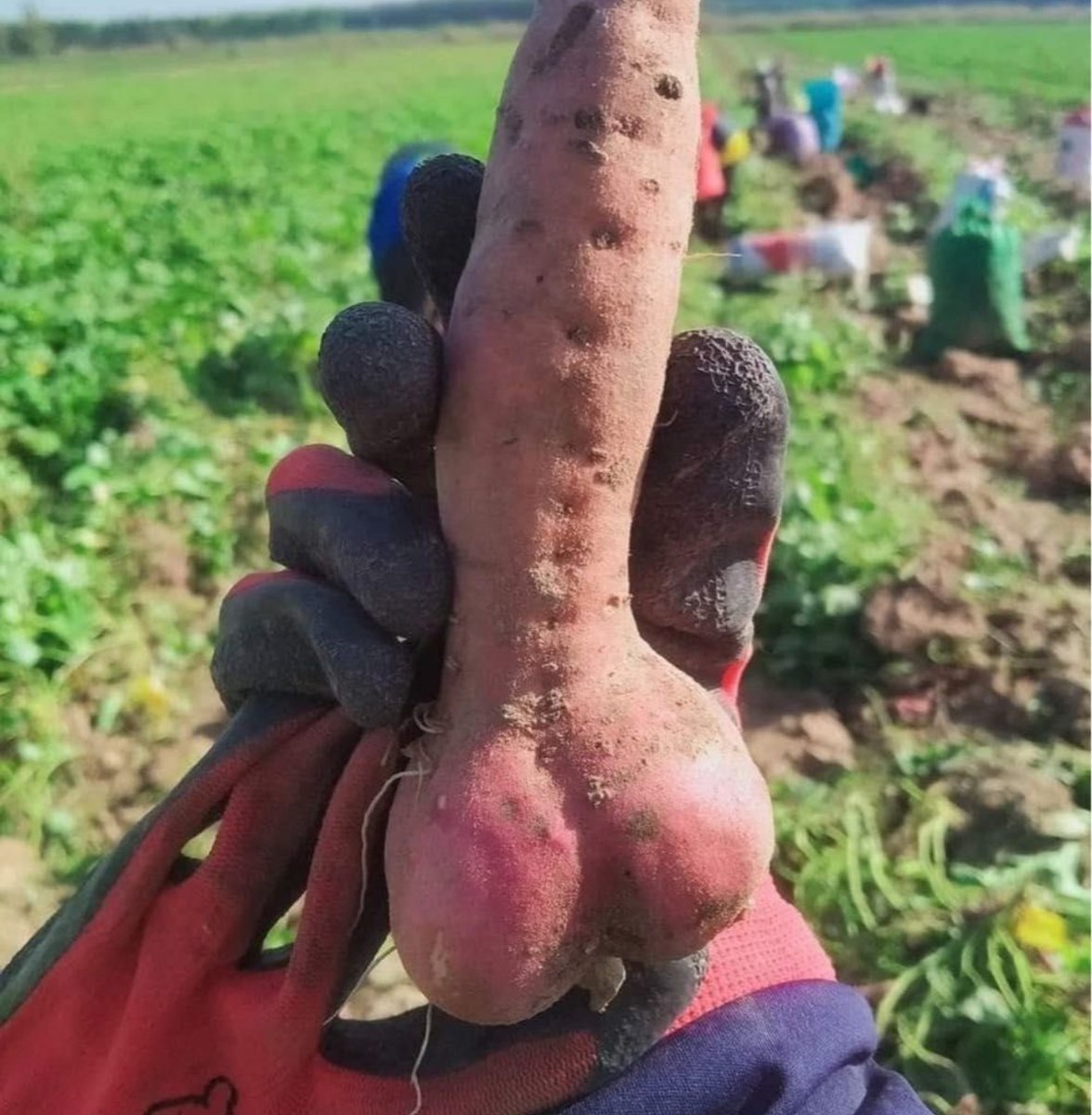 SexCoach88's tweet photo. Did you know erectile dysfunction is often more about your headspace than your hardware? 

Hypnosis works by rewiring belief patterns, not just your body.  DM me if you want to explore a session...

#SexualConfidence #MensHealth https://t.co/JT0Yk23zNL