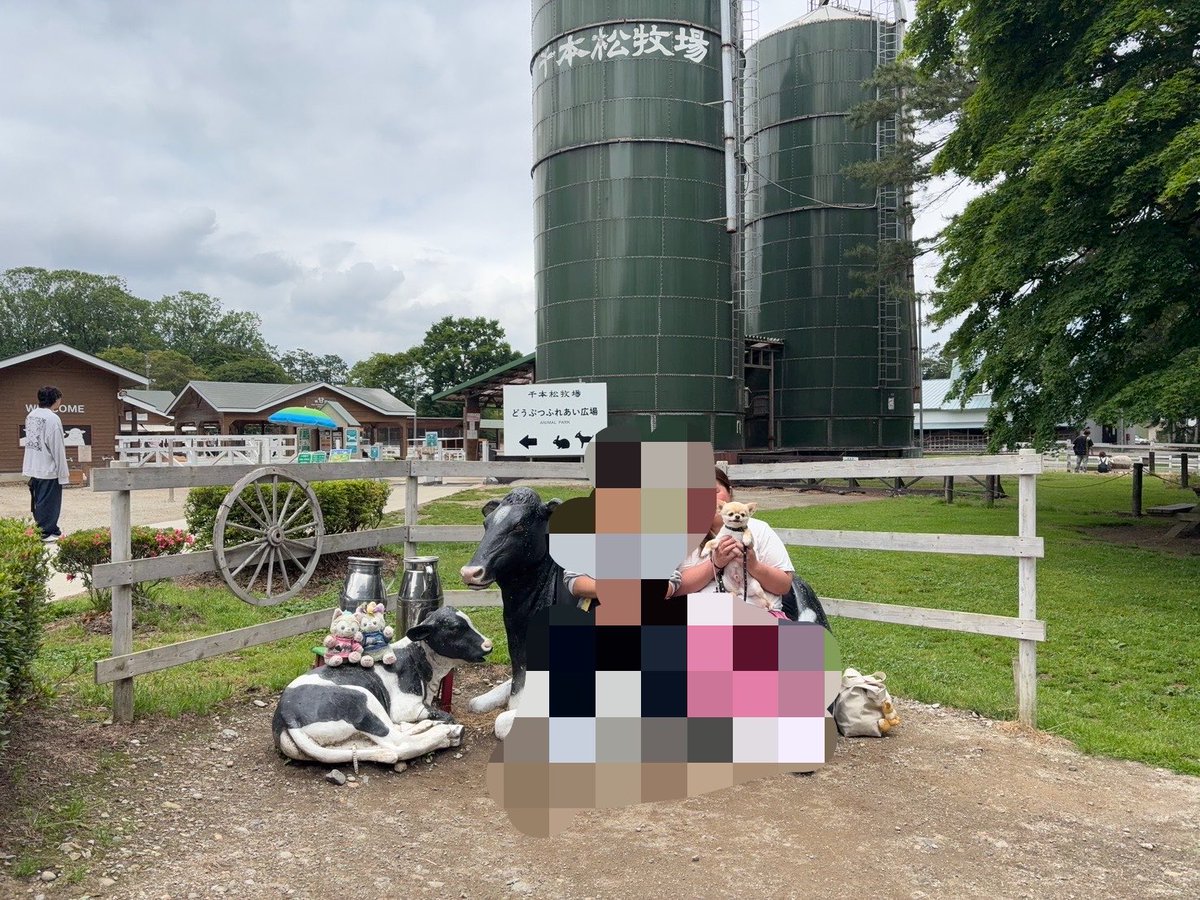 mominoki19's tweet photo. 愛犬と那須塩原旅行に行ってきたよ🐶🐮🚗³₃ https://t.co/mGNm70qz9b